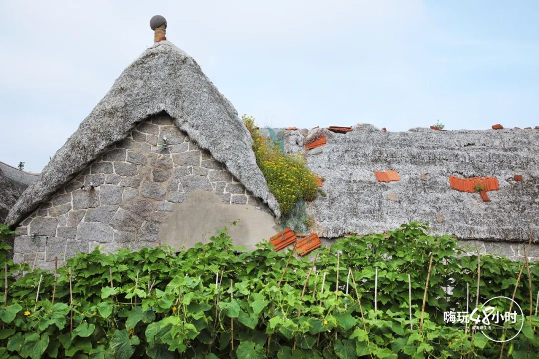 山东荣成云栖民宿,荣成海云栖民宿