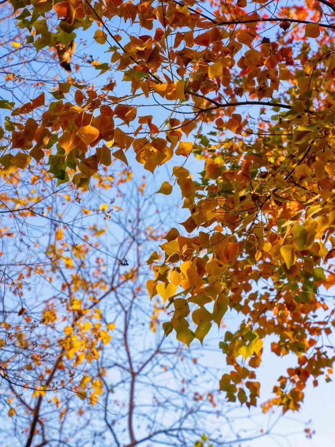 住在常府街，不羡城南与河西