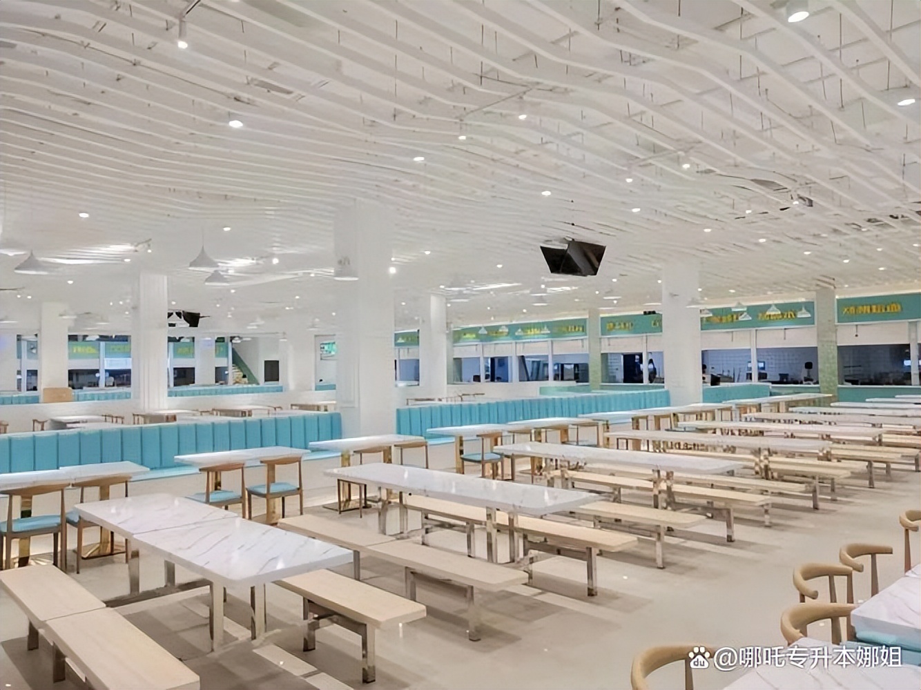 应天书院商丘师范学院,商丘师范学院的发展史