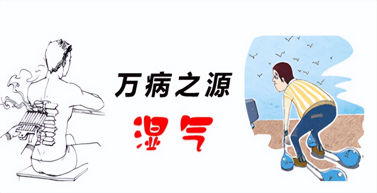 水果加湿器有用吗,水果加湿器