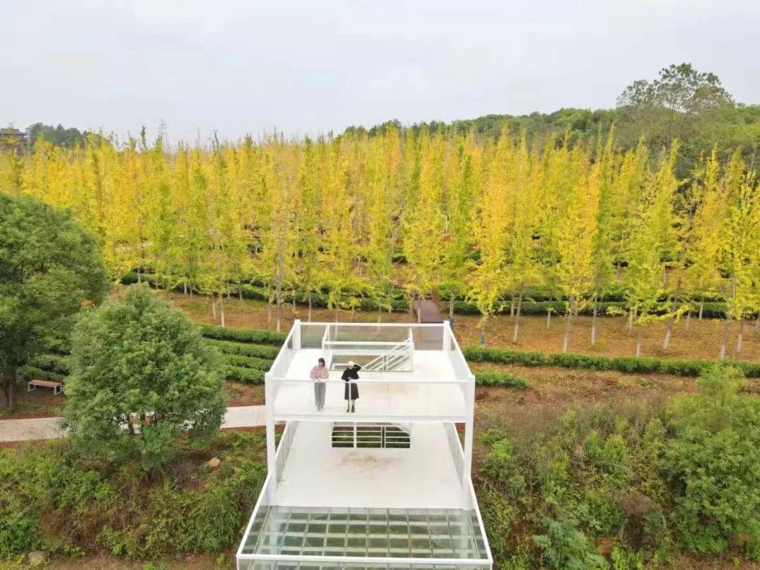 南昌的秋天文案,南昌的秋天闪闪发光