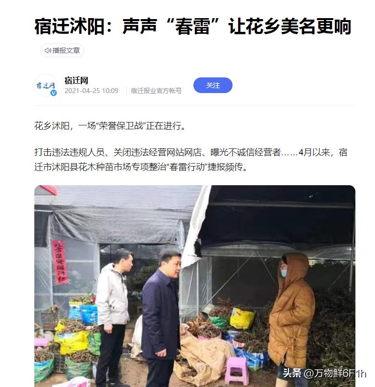 宿迁神苗是什么梗,宿迁的苗木为什么叫神苗