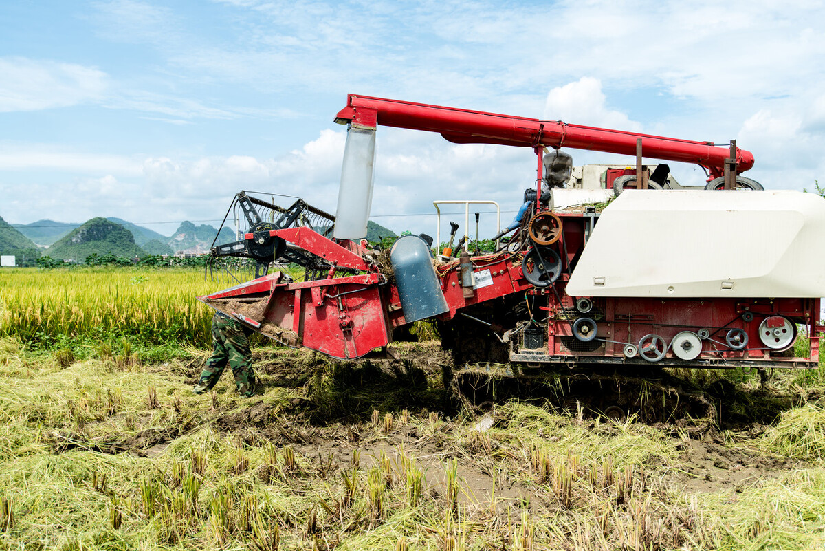 沃得320水稻收割机新款,2021沃得水稻收割机视频