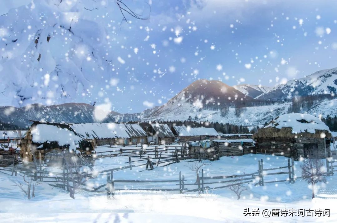 冬日十大雅事你知道是什么吗,冬日里的一件暖心的事随笔