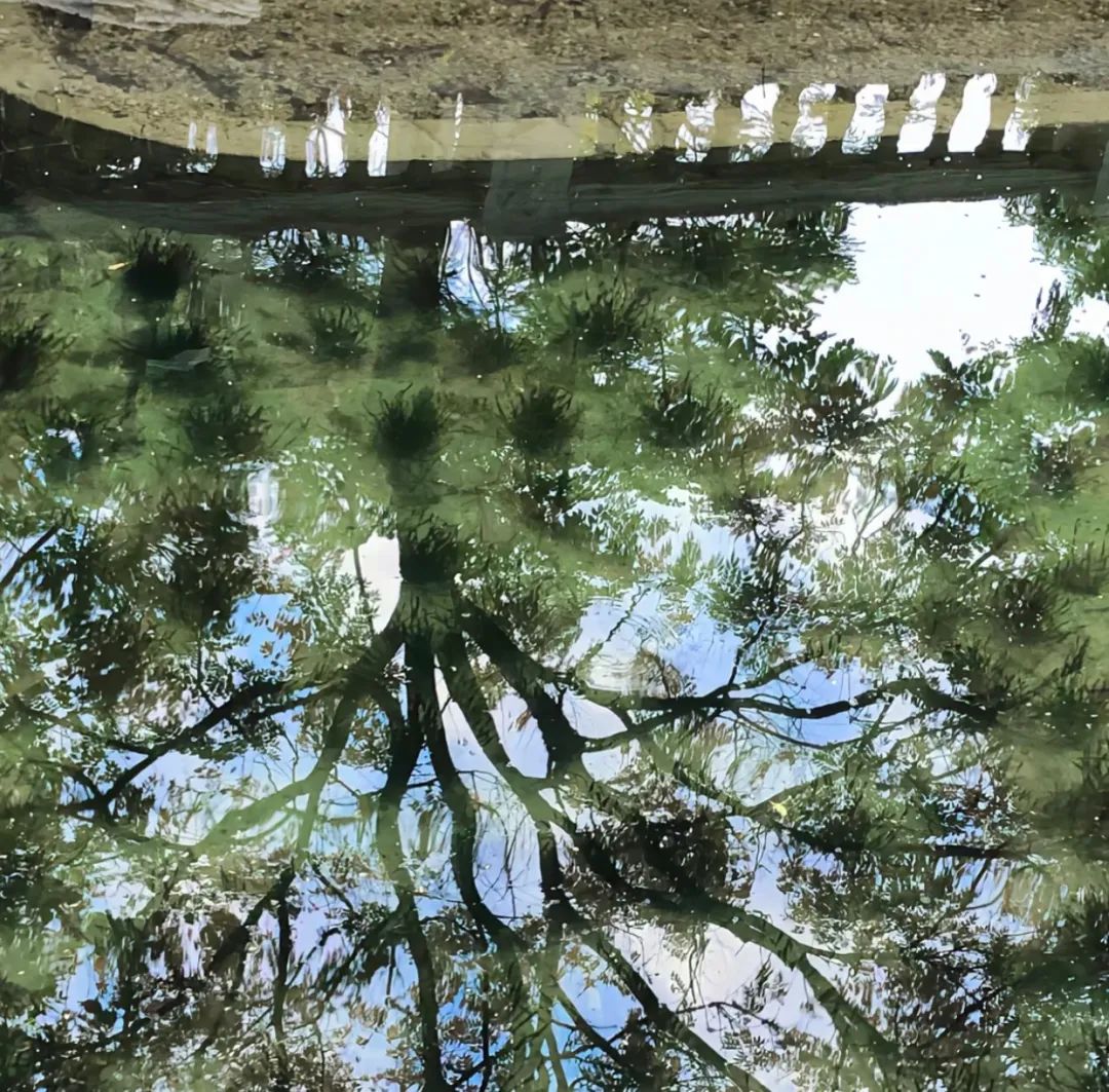 春日氛围感头像带背景图,春日已至头像图片