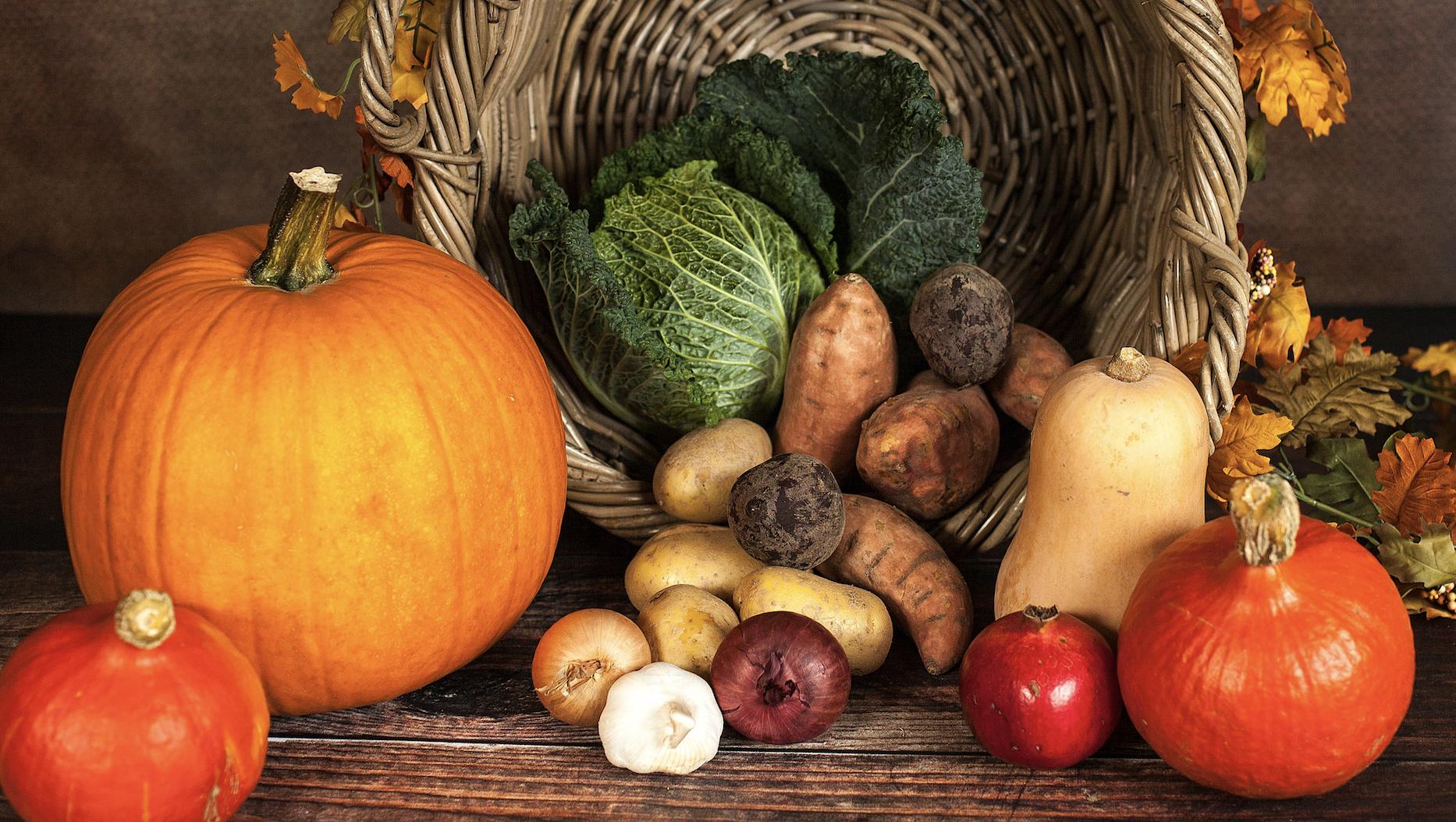 专业农产品配送平台有哪些,怎么加入农产品配送平台