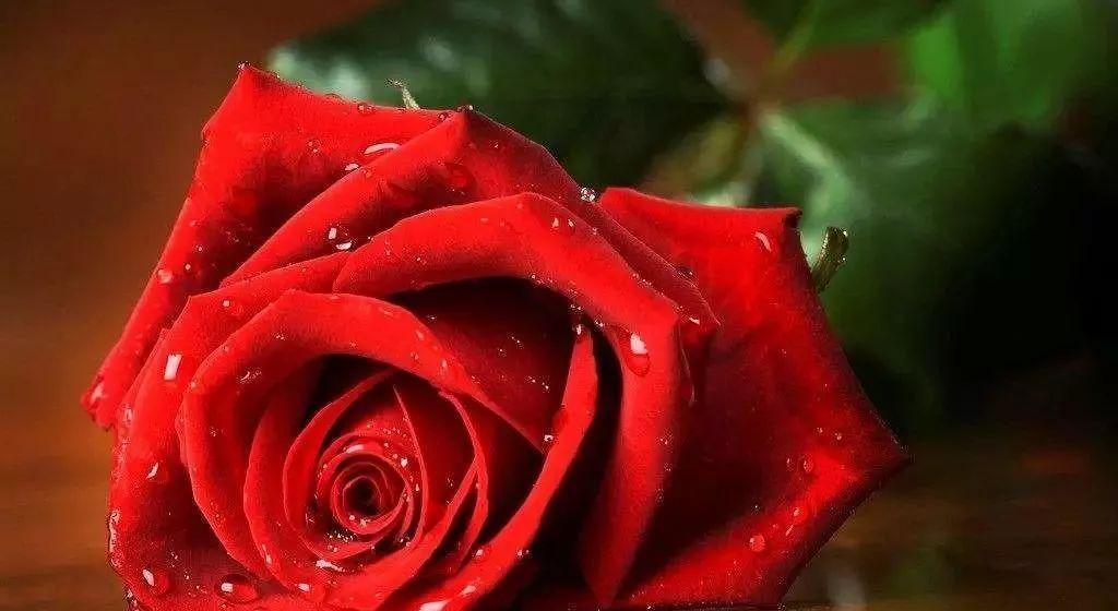 鎯婁汉涓惧姩,鎯婁汉涓惧姩鐭ヤ箮