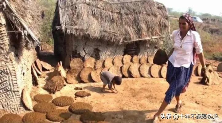 印度最好吃的牛粪饼,牛屎饼印度