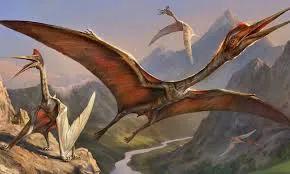 苏格兰巨人化石,苏格兰镰虫化石