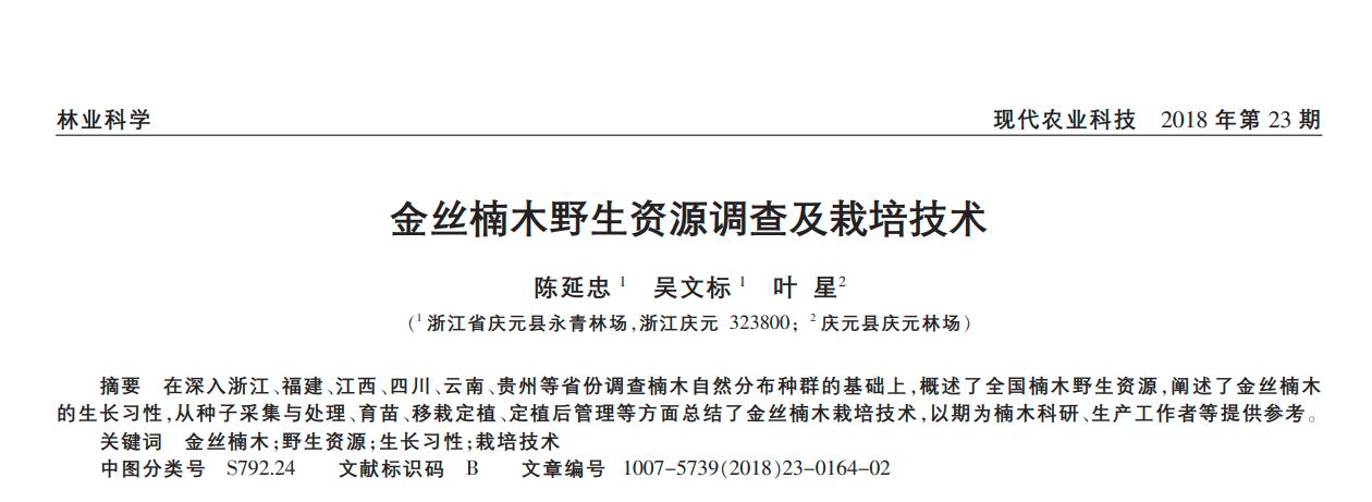 金丝楠树苗多少钱一棵50年能长大,金丝楠树价格多少钱一棵