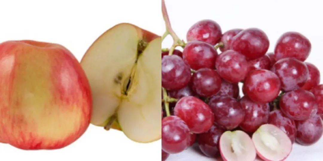 孩子不爱吃硬的东西怎么办,孩子不肯咀嚼不吃硬食物怎么办