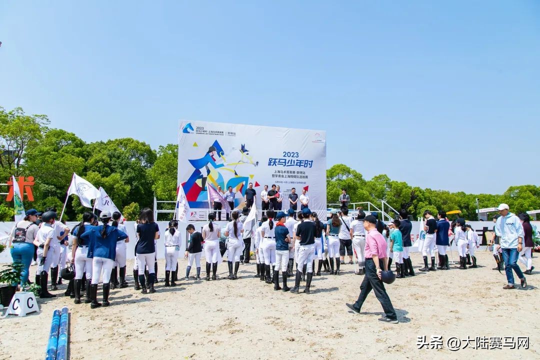 2020上海马术青少年锦标赛,2019年上海马术障碍赛