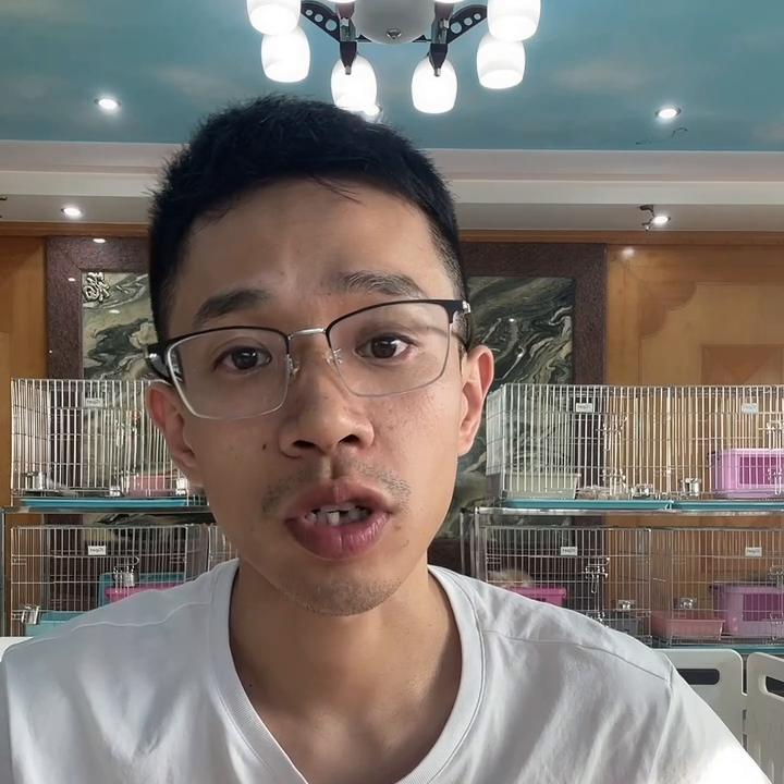 在上海买猫注意事项,怎么在香港买猫