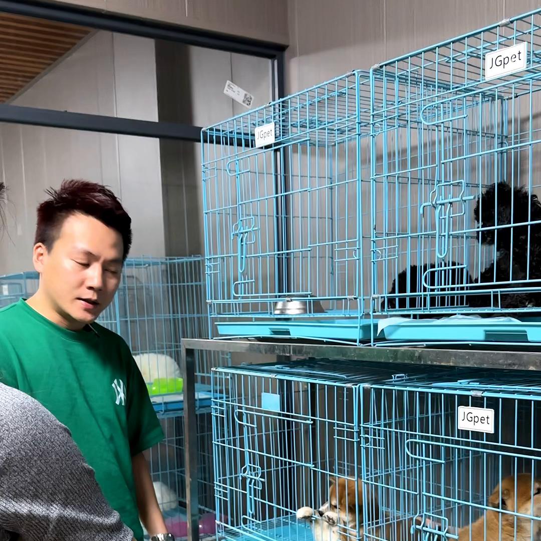 佛山哪里有柴犬狗场,广州买柴犬最好的地方在哪里呀