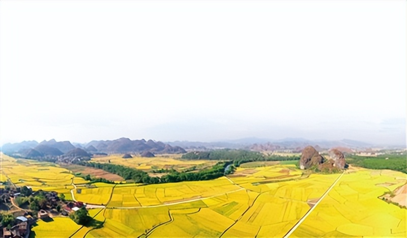 新时代中国特色社会主义思想研讨,如何把握中国特色社会主义理论