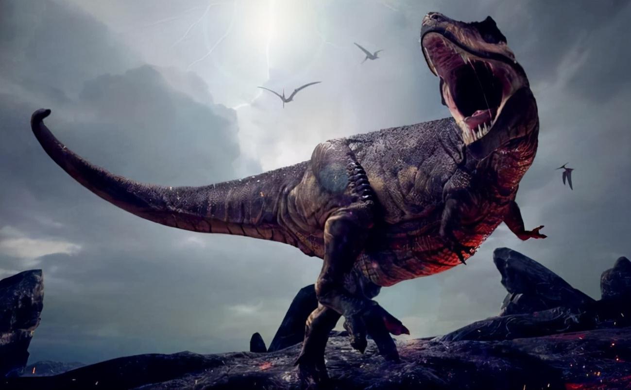 鸡的祖先是霸王龙？它为何每天都下蛋，细数鸡身上的“恐龙基因”