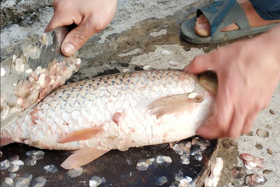 炖鱼的最好吃方法不腥不柴,不管炖什么鱼都要知道的技巧