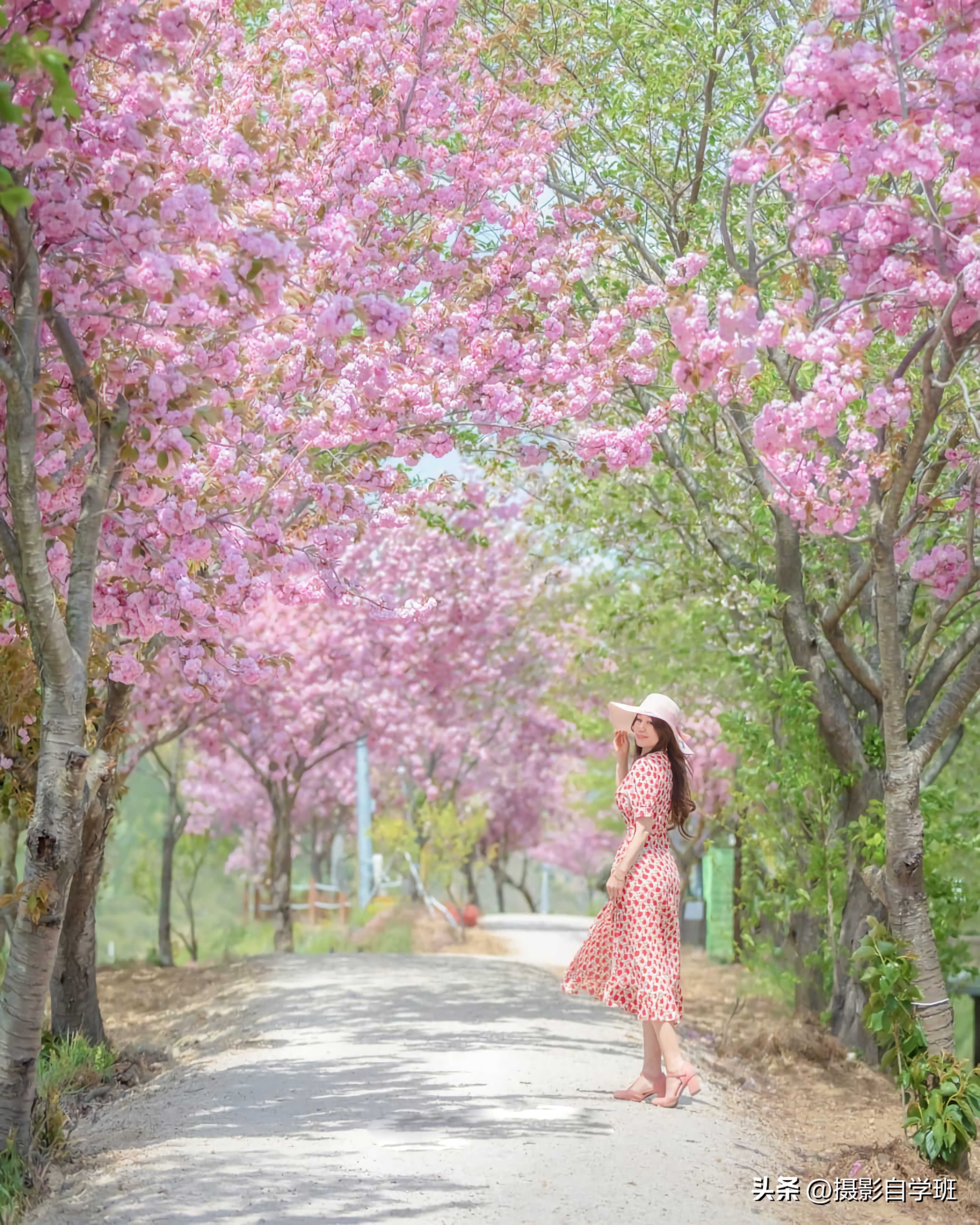 十大风景摄影技巧图片,摄影图片风景怎么拍好看