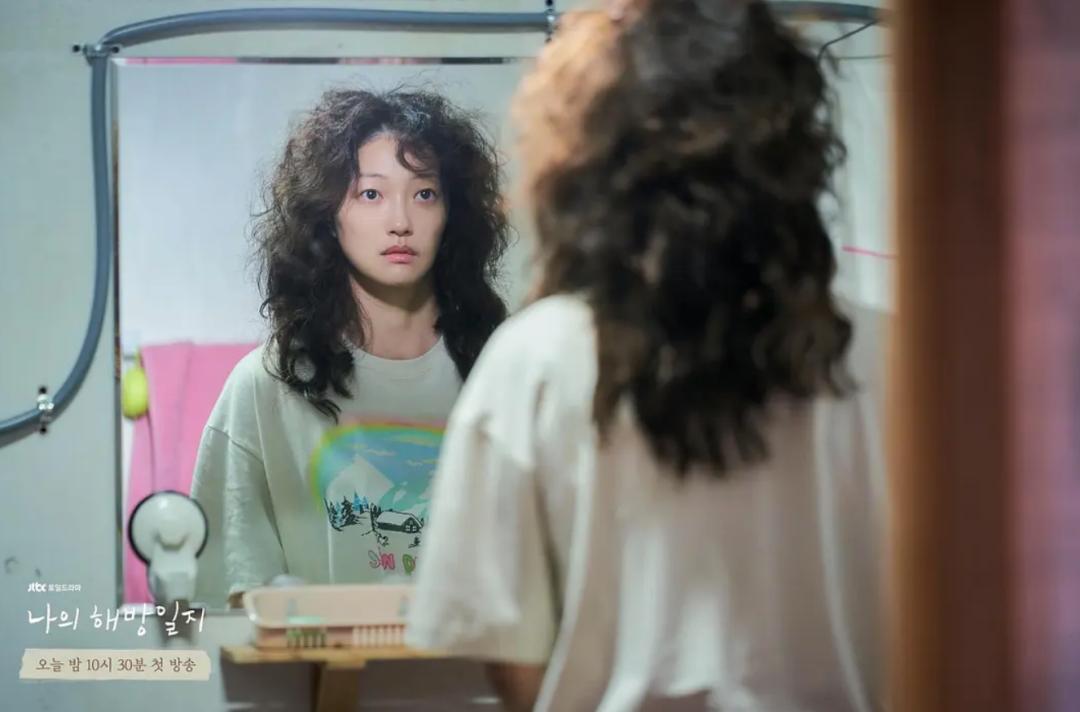 我的解放日志讲述的是什么,我的解放日志讲了什么故事