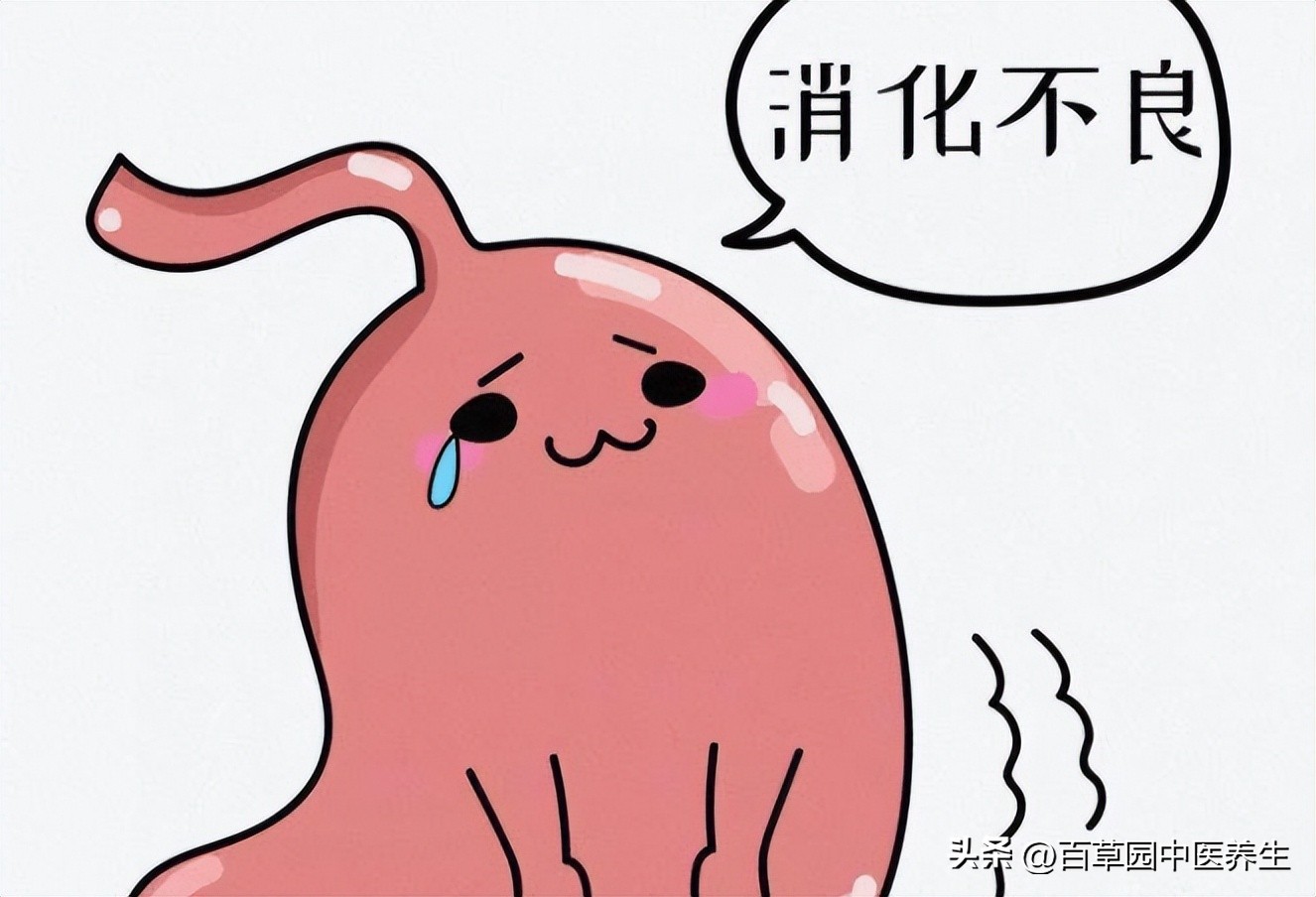 功能性消化不良中医指南,功能性消化不良痊愈偏方