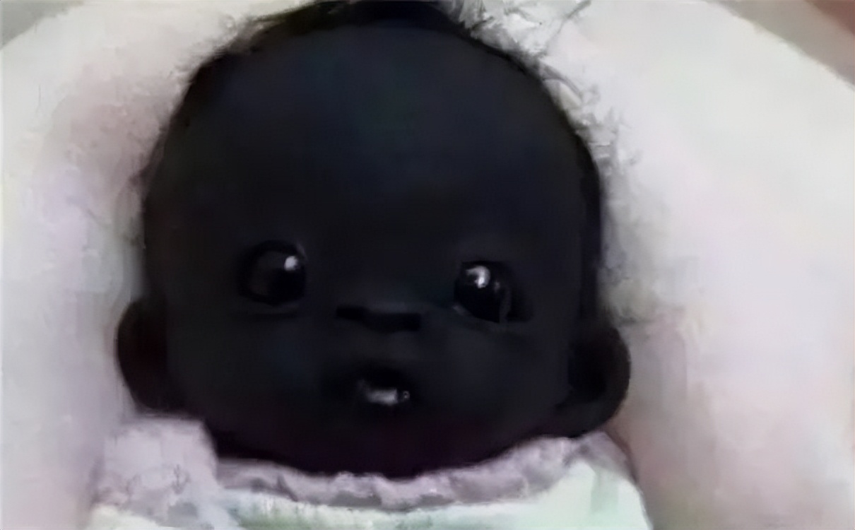 整活小能手,日本作死小能手全集