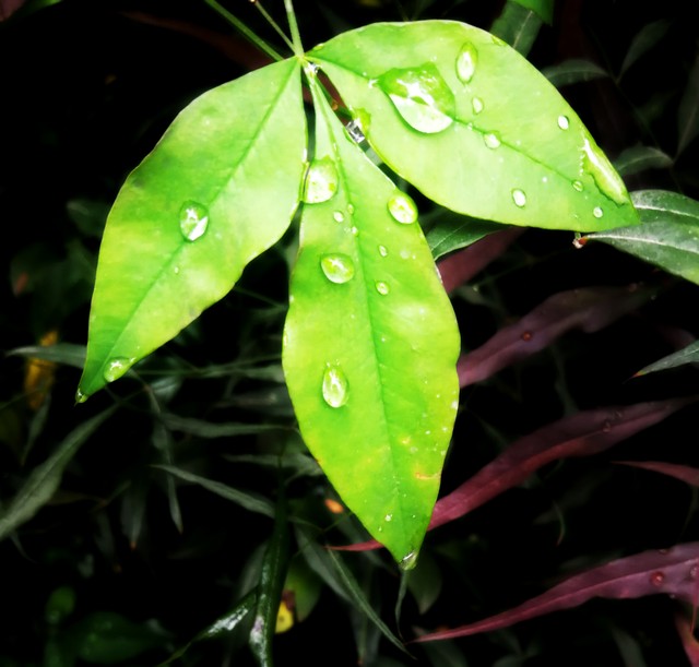 来看看古人是如何写落寞,古人如何写迷茫