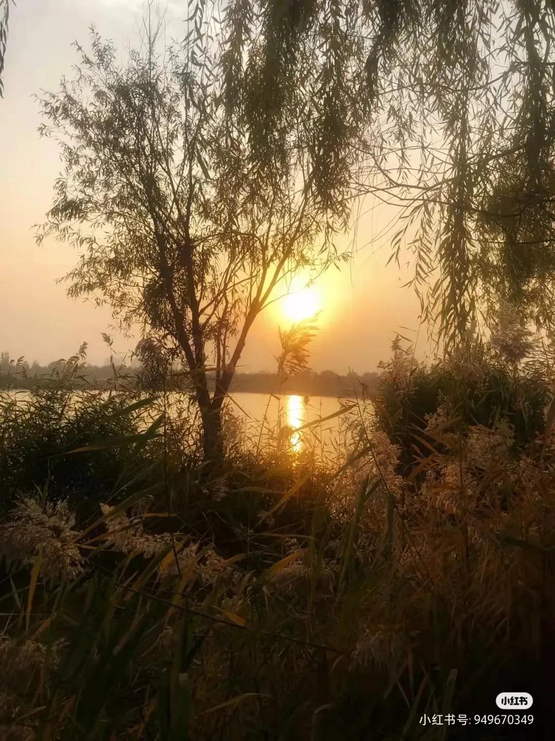 北京十一免费露营野餐地点推荐,又是一年野餐季