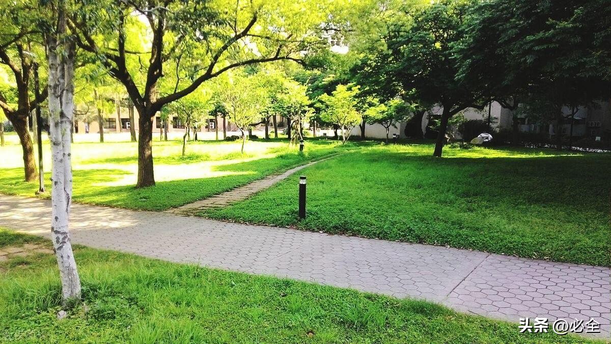 园林草坪选择,草坪园林景观的介绍