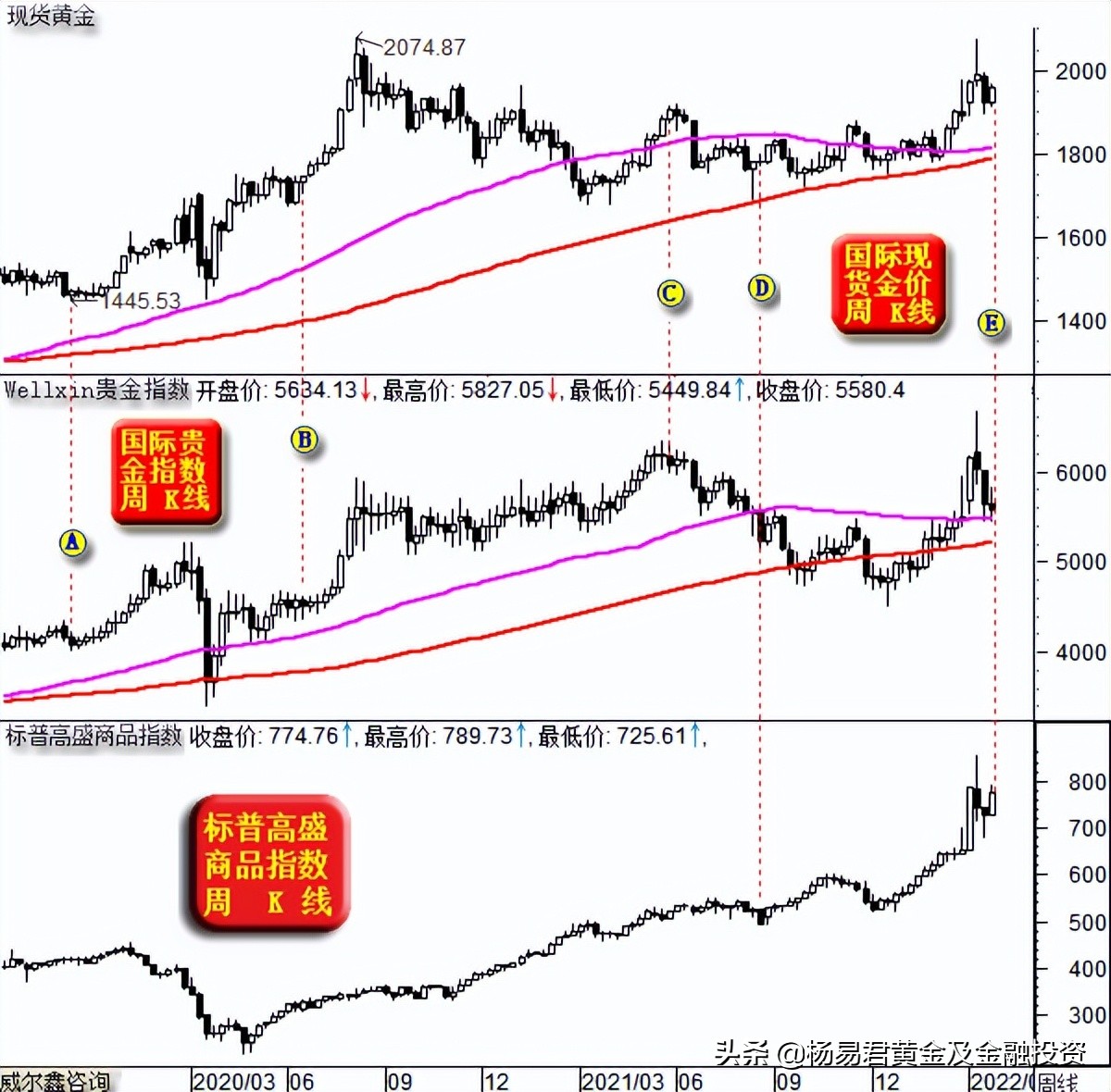 威尔鑫黄金杨易君分析师,黄金追涨杀跌的58个技巧