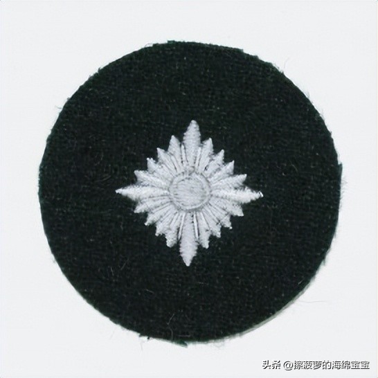 二战德国将军军衔图案,二战德国突击队队长军衔