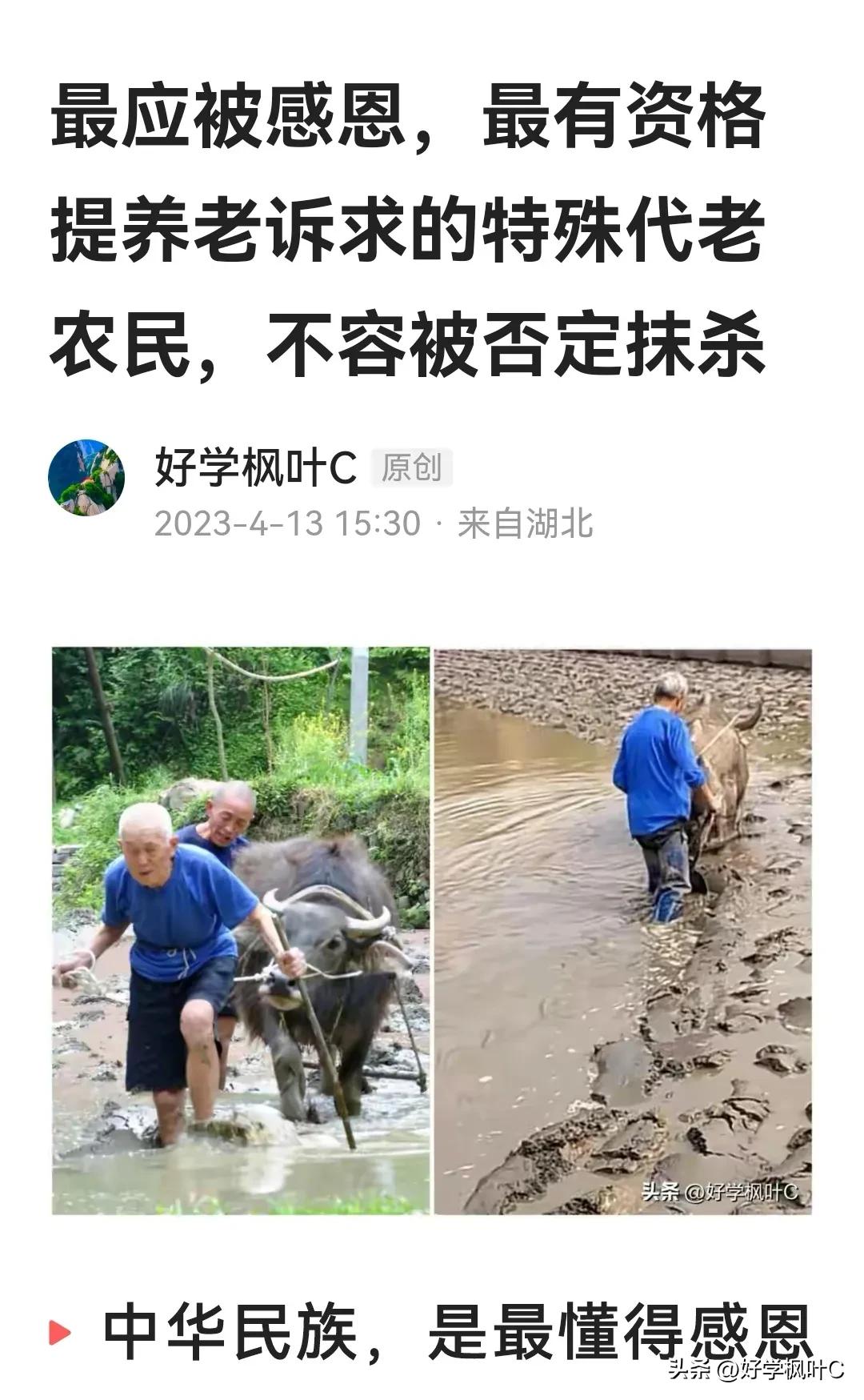 可恶的抄袭文章,可恶的论文