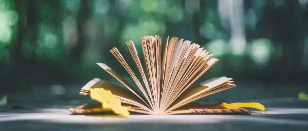 姜涛刑事案件,刑事案件姜涛