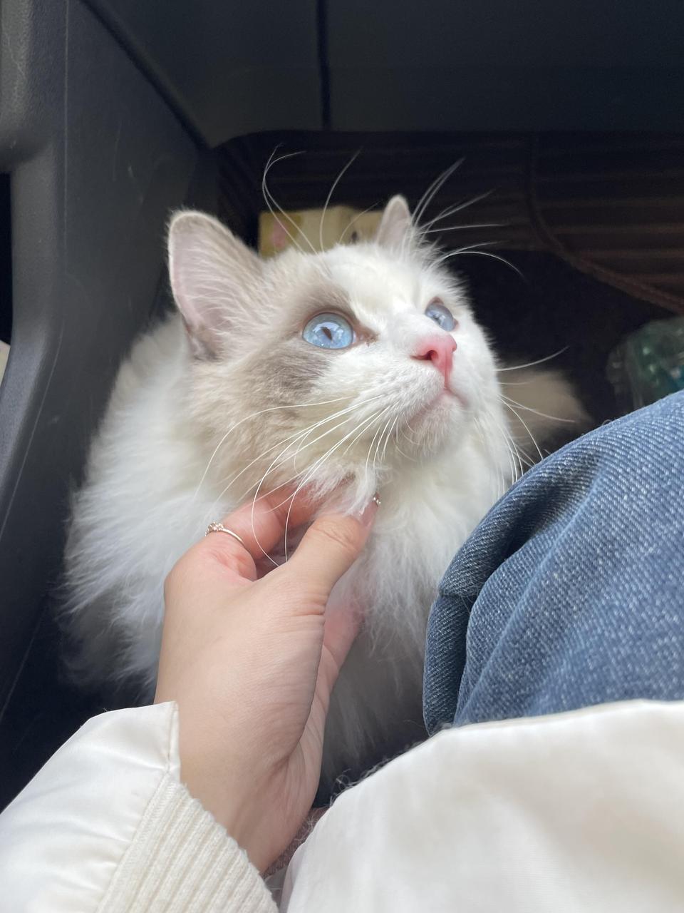 全国多少人等这一刻，等了3年