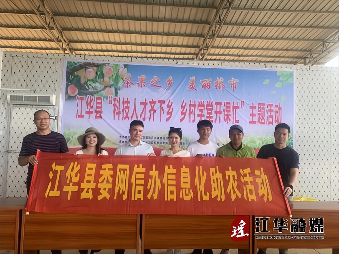 辛巴帮运城农户卖柿子,辛巴农助农视频