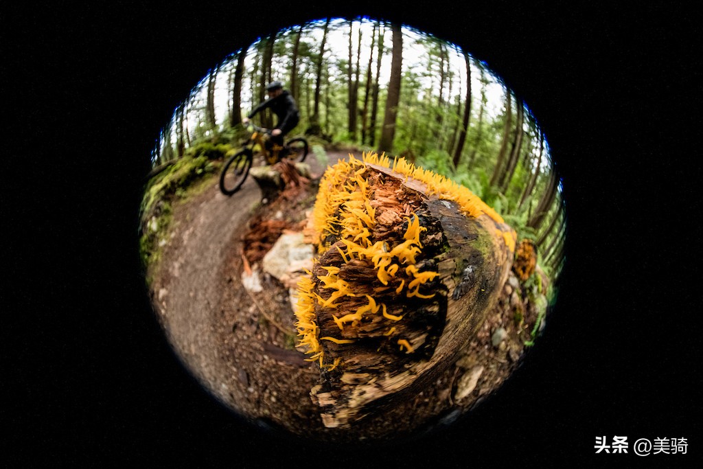 全新电机极致轻巧静音TrekFuelEX-e电助力山地车