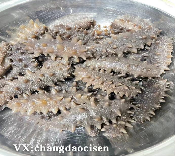 大连海参野生哪家最好,液体海参哪个牌子最好