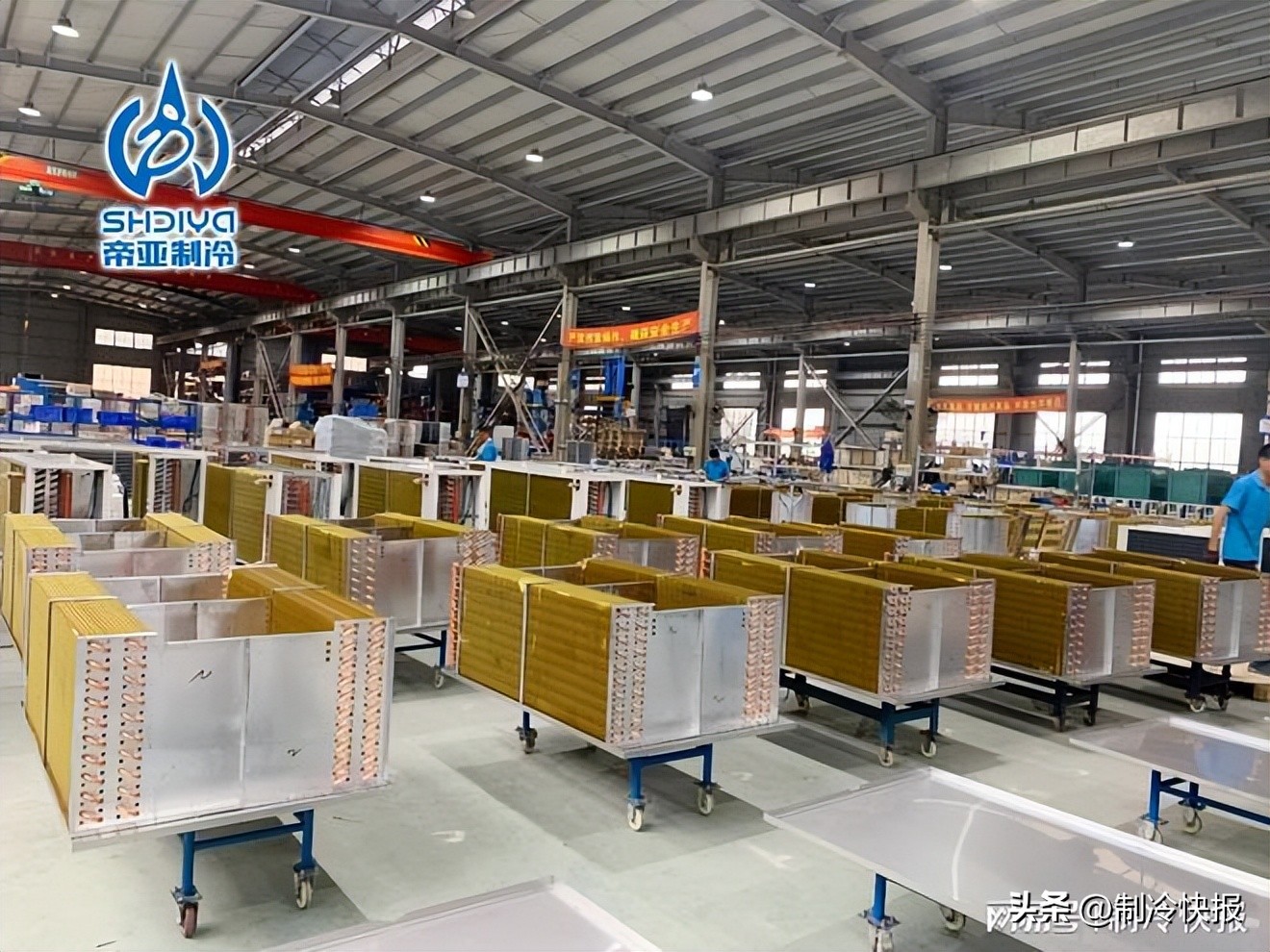 娴欐睙甯濅簹,娴欐睙甯濅簹鍒跺喎璁惧鏈夐檺鍏徃