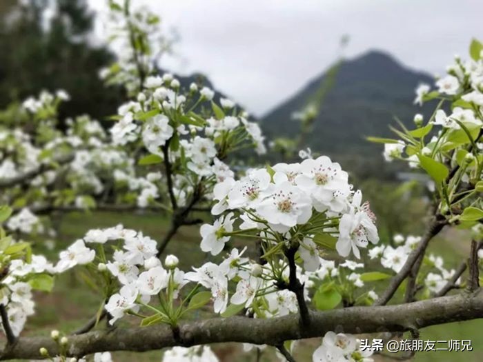 清远阳山二天一夜旅游景点攻略,广州自驾阳山旅游攻略图