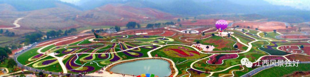 朱虹解读,朱虹讲述