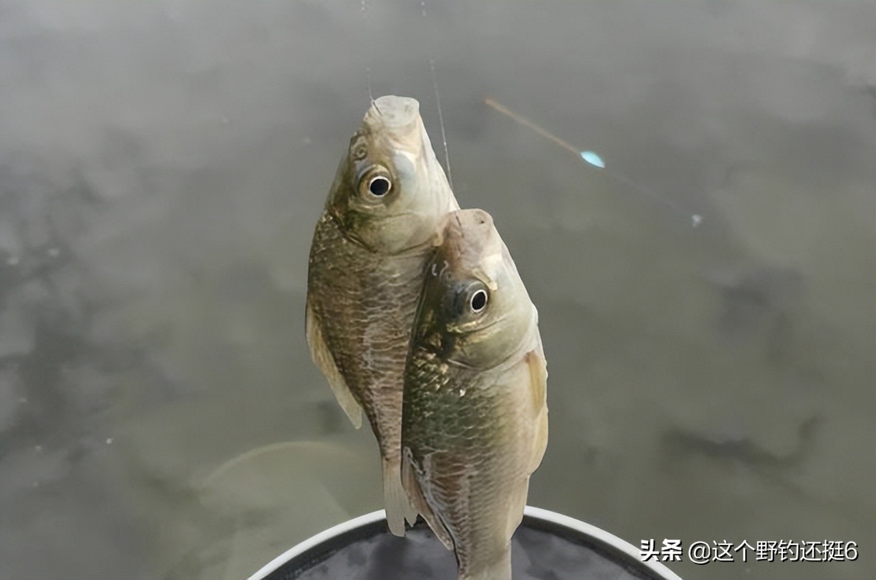 野钓钓鱼技巧选钓位和时间,春末钓鱼技巧选钓位和时间