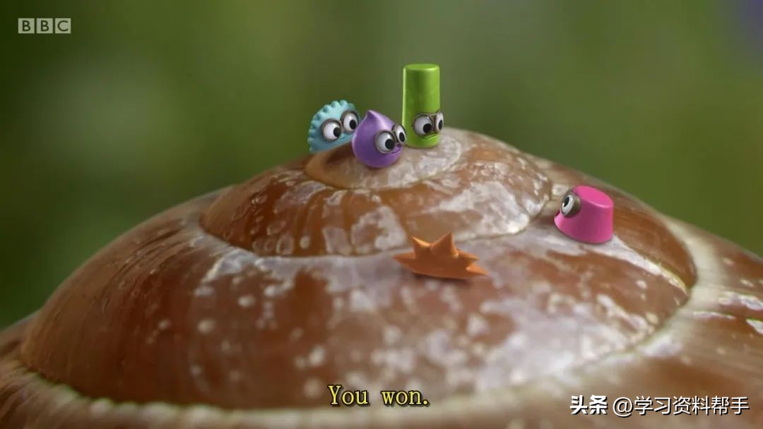 科普动画《TinyWonders小奇迹》，带娃换个角度观察和认知世界！