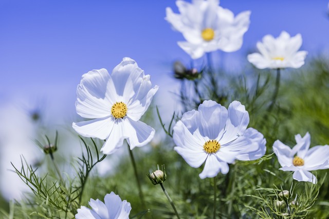 大姨妈来了能肛检吗,大姨