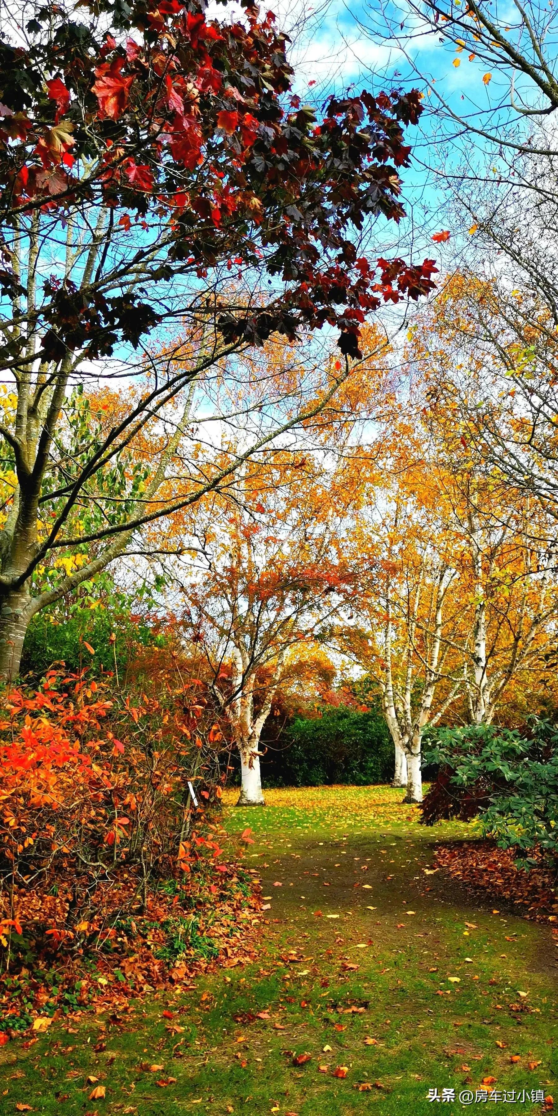 阿什伯顿：女总理、凑钱买飞机及六星花园——新手新车新西兰之13