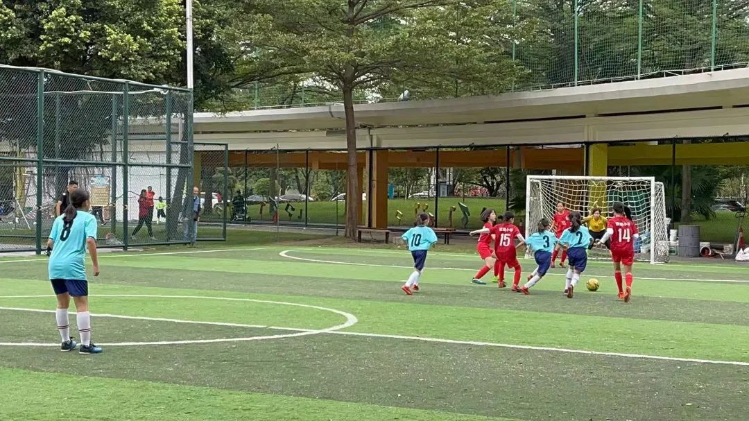 广东青少年足球学校排名,张槎中学喜报
