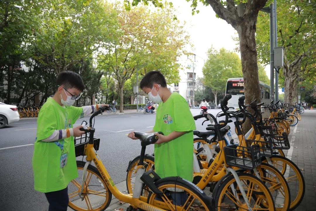 啄木鸟找茬行动,嘉兴啄木鸟找茬行动