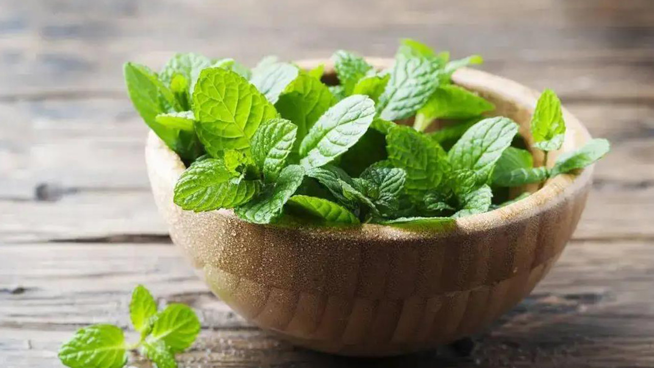 确诊新冠咽痛吃什么,感染新冠嗓子痛喝热水还是冷水