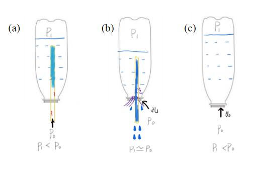 精子的产生是一个很神奇的过程,精子和卵子结合人类完全了解了吗