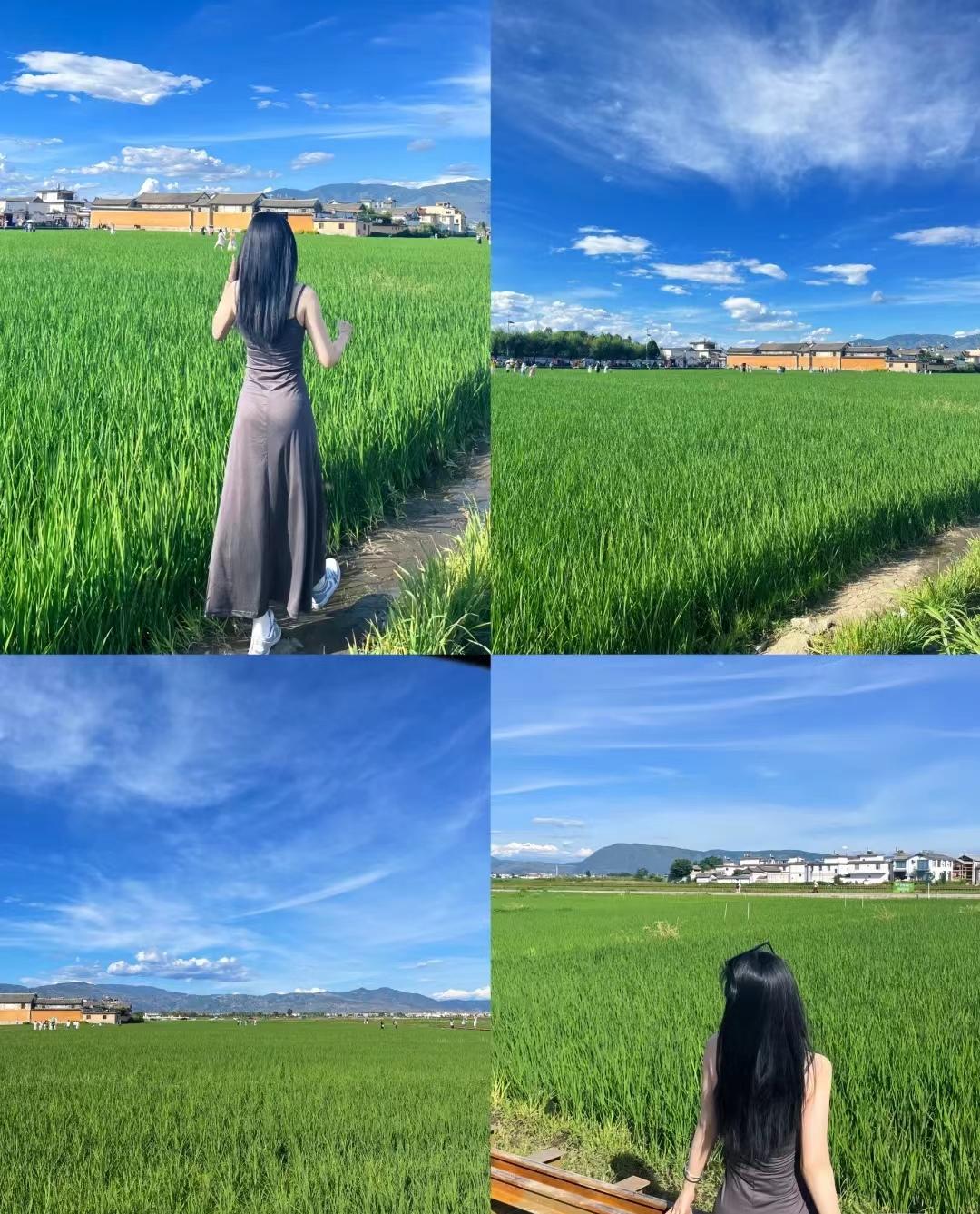 云南5日游多少钱,云南三日游最佳景点