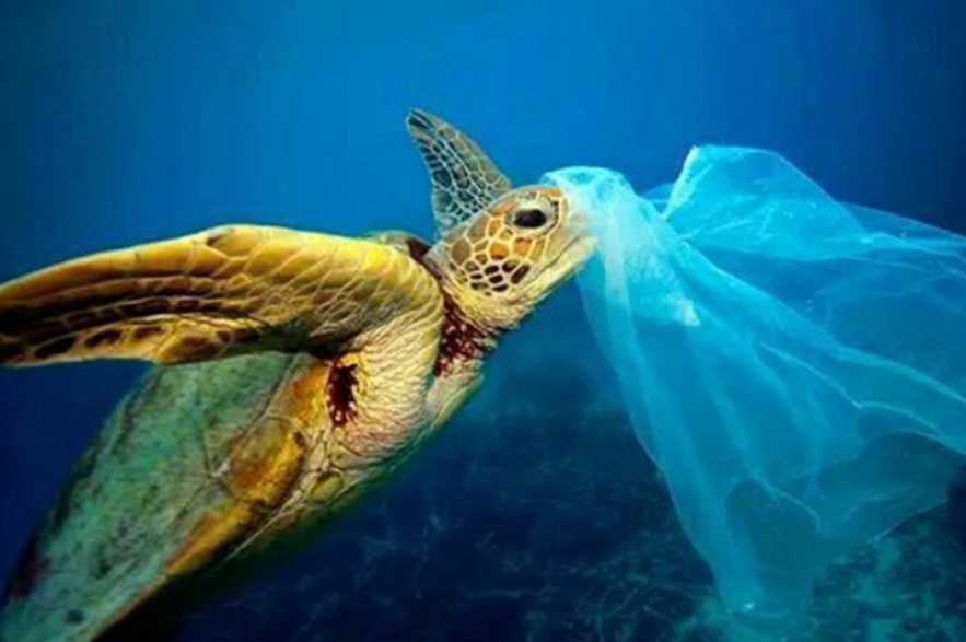 为什么现在有人回收dvd旧光盘,废旧光盘回收有什么用