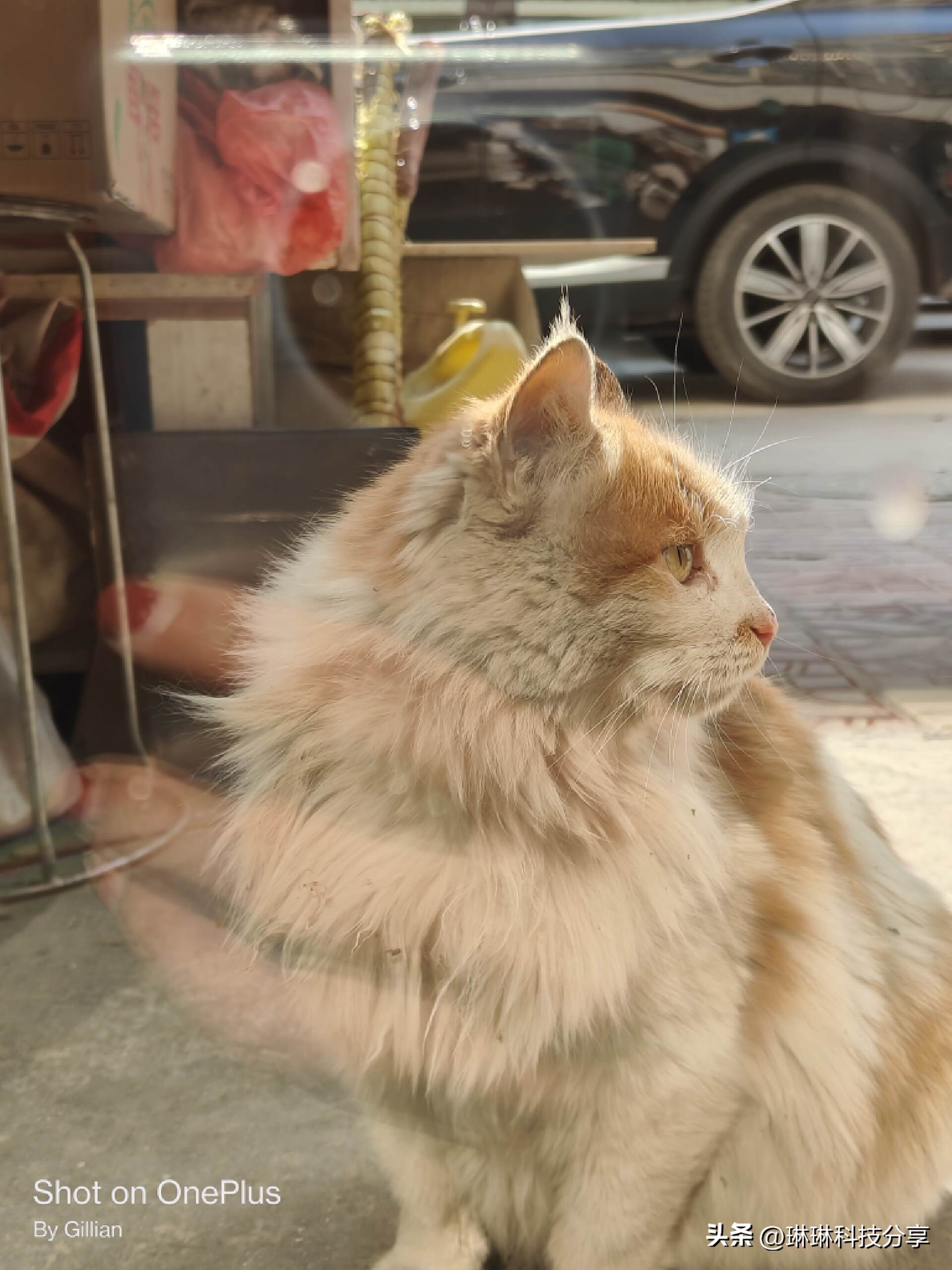 一加ace2使用感受真实,一加ace512